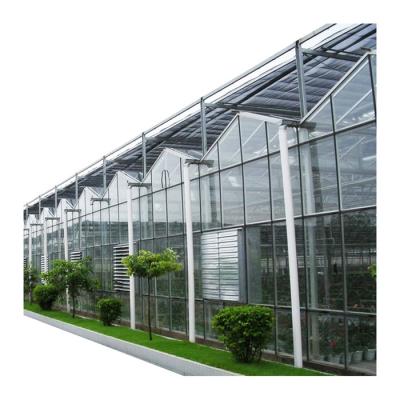 China Factory direct supply of glass galvanized single span steel structur agriculture fish glass greenhouses for sale