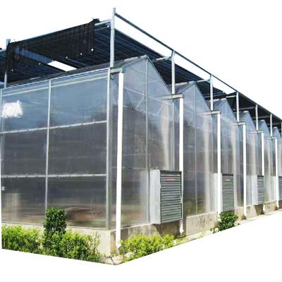 China Stable Structure Easily Assembled Multi-SpanTomato Greenhouse Venlo Polycarbonate Sun Panel Vale Harvest PC Sun Panel Agricultural Greenhouse Multi-SpanTomato for sale