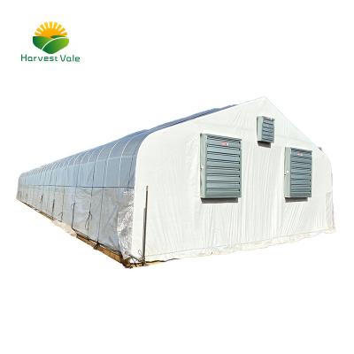 China Vegetable Growing Single Span 8m Round Tunnel Planting Greenhouse for sale