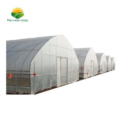 China Cheap Gothic Vegetable Growing Greenhouse Scale Growing Solution for sale