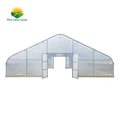 China Vegetable Growing Tunnel And Bi-tunnel Greenhouses For Strawberry Planting for sale