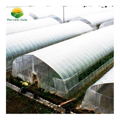 China Vegetable Growing Easy Assembly Planting Agricultural Plastic Vegetable House Low Cost for sale