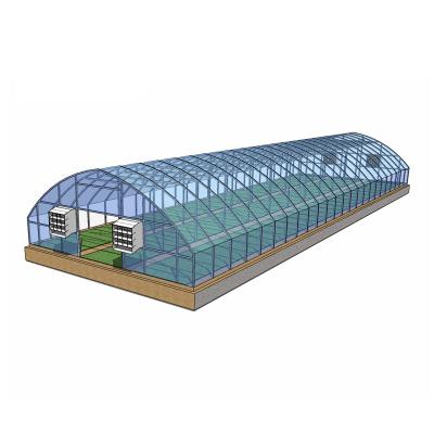 China Commercial Vegetable Growing Greenhouse Low Cost Single-Span Greenhouses for sale