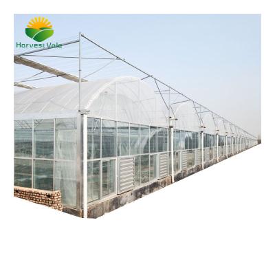 China Vegetable Growing PO Film Multi-span Greenhouses Other Greenhouses for sale