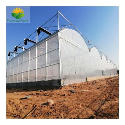 China Vegetable Growing Greenhouse Plastic Sheet UV Agricultural Greenhouse for sale