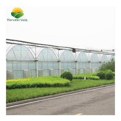 China Vegetable Growing 200 Micron Greenhouse Film Multi-tunnel Hot Selling Greenhouses for sale