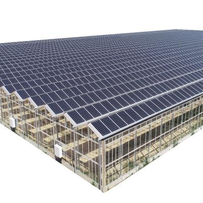 China Low Cost Greenhouse Business Agriculture Greenhouse Heat Saving Harvest Vale Venlo Solar Greenhouse Solar Energy Saving Generation Multi-span Photovoltaic Greenhouse for sale