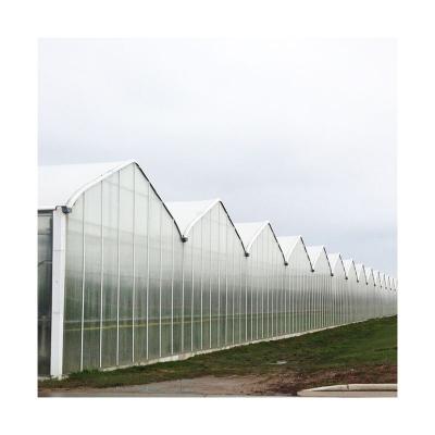 China Wholesale Tomato Vegetable Hot Galvanized Steel Structure Tomato Cultivation Glass Greenhouse for sale