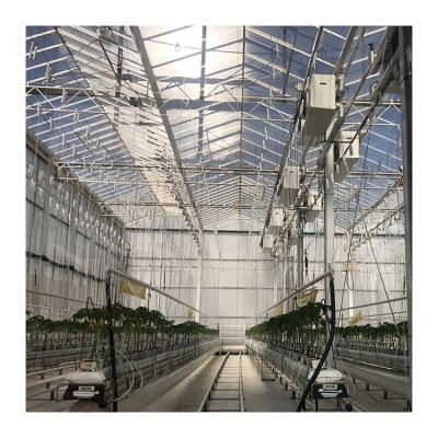 China Tomato Vegetable Cultivation Chinese factory supply side ventilationa gricultural high multi span tomato greenhouse for sale