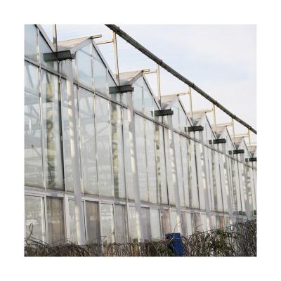 China Good Quality Tomato Cultivation Vegetable Factory Directly Customized Agricultural Hot Products Greenhouse For Tomato for sale