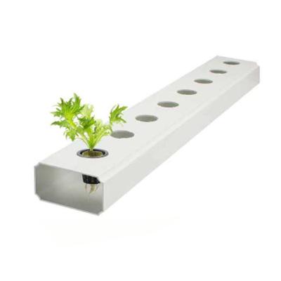 China Grow Fodder Trays Plant Vegetable Greenhouse Thin Layer Cheap Greenhouse Hydroponic Kit With Hole Hydroponic Pipeline Hydroponic Growing Systems for sale