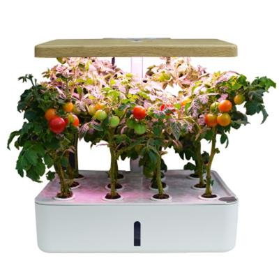 China Vegetables and Flowers Fruit Planting Machine New Intelligent Hydroponic Equipment Ornamental Sale Hydroponic Planting Soilless Planting Vegetable Tomato for sale