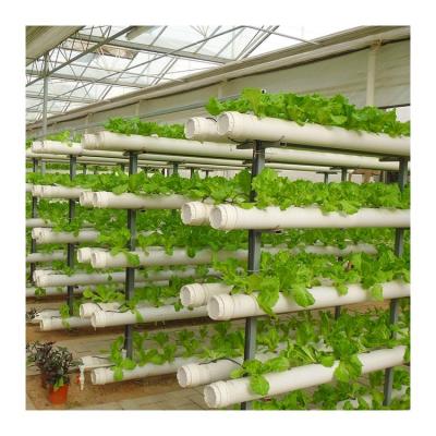 China Polycarbonate Greenhouse China Factory Supply Multi Span Hydroponics Greenhouse For Agricultural for sale