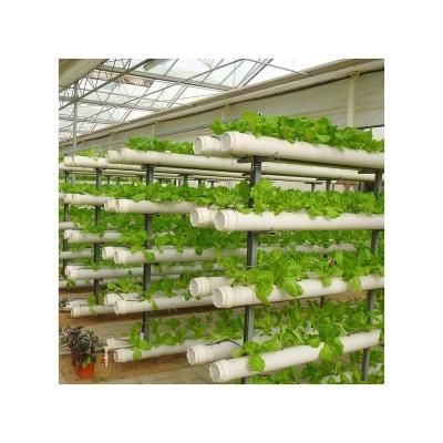 China Polycarbonate Greenhouse Hot Sale Advanced Insect Proof Multi Span Hydroponic Greenhouse for sale