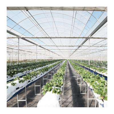 China Polycarbonate Greenhouse Factory Direct Supply Customized Multi Span Agricultural Hydroponic Greenhouse For Flowers for sale