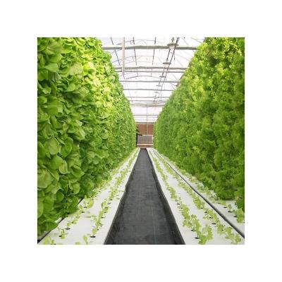 China Polycarbonate Greenhouse Good Quality Can Be Customized Multi Span Agricultural Hydroponic Greenhouse for sale