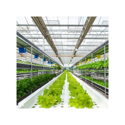 China Hot Galvanized PC Sheet Polycarbonate Hothouse Sale Steel Frame Hydroponic Greenhouse For Strawberry for sale