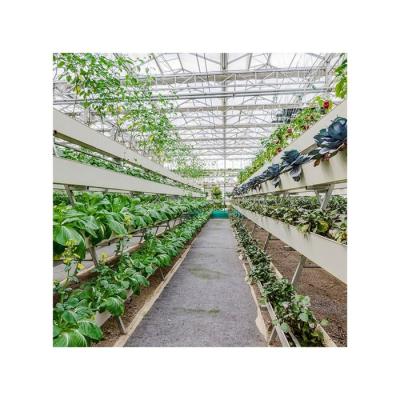 China Hot Sale Large PC Greenhouse Polycarbonate Sheet Polycarbonate Hydroponic Greenhouse for sale