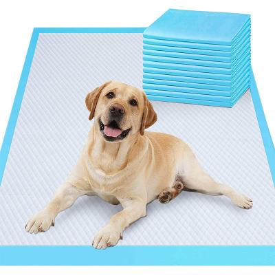 China Waterproof Washable Pet Training Pads Pampered Pet Cushion with Super Absorbent Polymer for sale