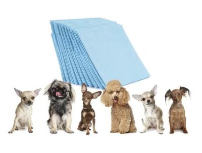 China Hydrophilic Non-woven Fabric Pet Pad With Instant Absorption And Odor Removal Function for sale