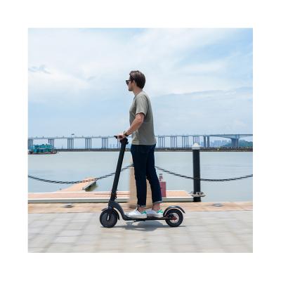 China Unisex Fast Scooter 350W 48V Powerful Electric Scooter Fast E Scooter With Seat for sale