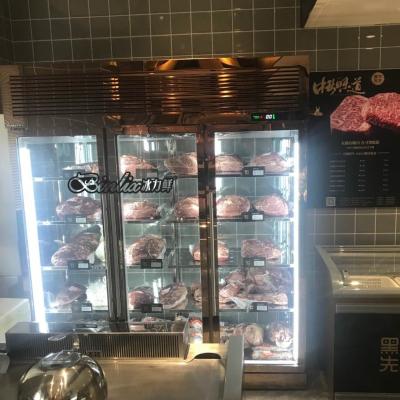 China Single-Temperature Angus Beef Steak Dry Aging Meat Dry Ager Processing Display Fridge à venda