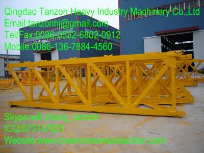 China Interchangeable Chip Standard Section Safety for conehead tower crane for sale