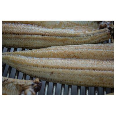 China Vitamin Froased Wholesale Kabayaki Unagi Special Hot Selling Eel Frozen Shirayaki Unagi for sale