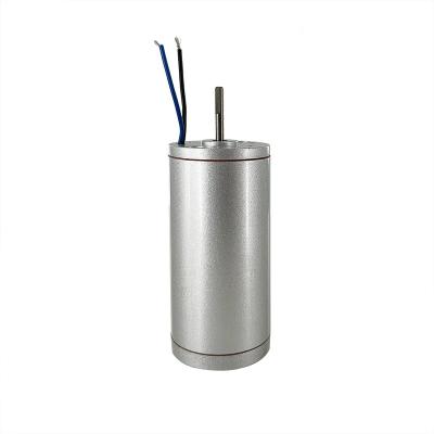 China 10mm Arc Magnetic Steel Double Hall Brushless DC Motor for High Speed Electric Scooter for sale