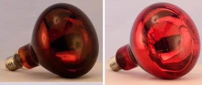 China Red infrared lamp 100W 150W 175W 200W 250W 275W animal chicken pig pet therapy infrared heating bulb for sale