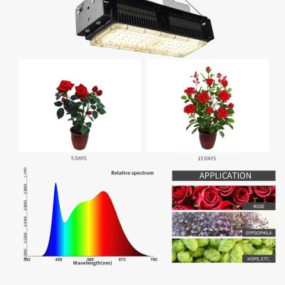 Κίνα 50w Full Spectrum LED Plant Grow Light 4000k For Indoor Plants προς πώληση