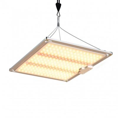 Κίνα GL-24 100w plant lamp προς πώληση