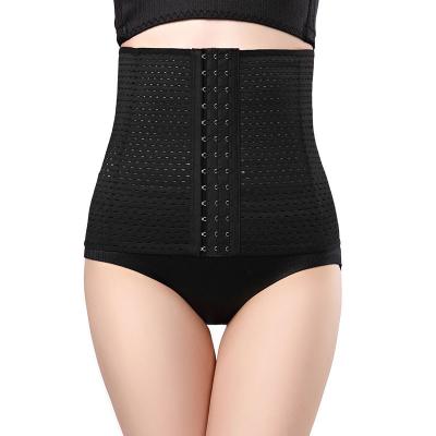 China Adult Custom Waist Training Belt For Postnatal Women Waist Shaping Body Beauty Equipment Health Waist Support Lumbar Belt for sale