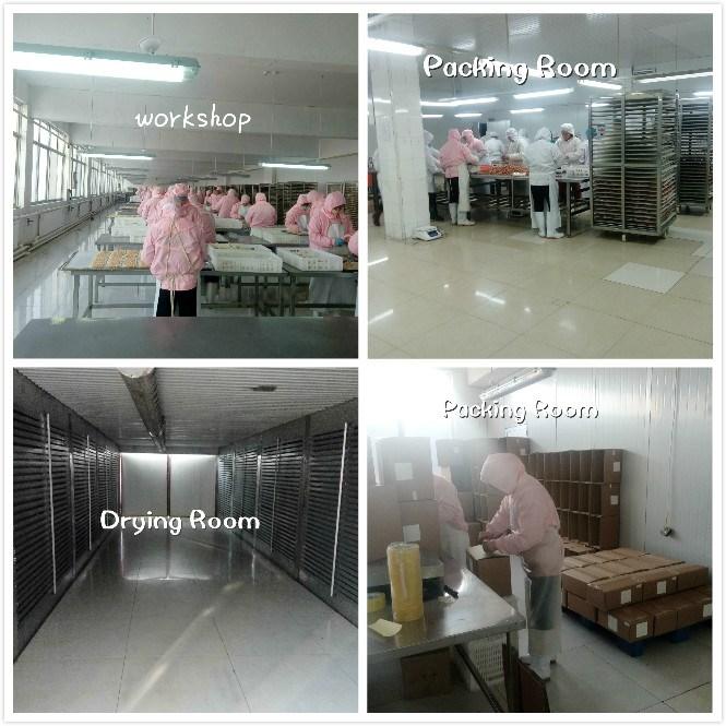 Verified China supplier - Weifang Sansho Food Co., Ltd.