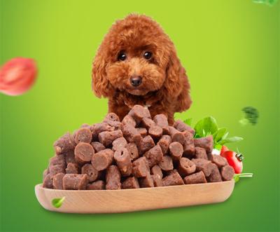 China Sustainable Fresh Material And High Nutrition Beef Stick Bites Beef Cuts Puppies Snack for sale