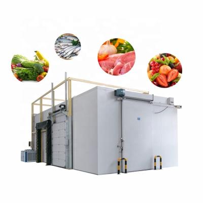 China food & Beverage Plant Low Temperature High Humidity Best Selling Defrosting Machine for sale