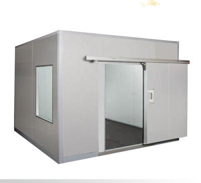 China Frozen Food Storage Or Others Factor Price Selling Well 304 Stainless Steel Swing Door For Cold Room for sale