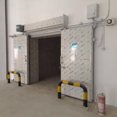 China Frozen food storage or others best quality manual sus 304 hinged door for cold room for sale