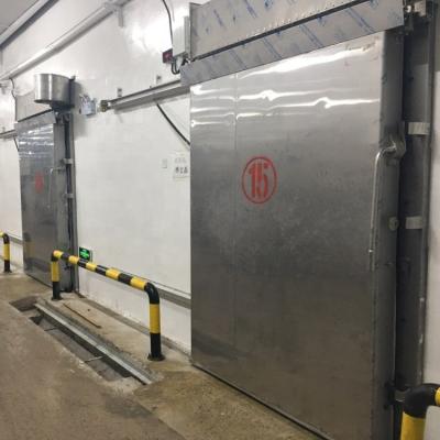 China 2019 Factory Price High Quality Automatic Cold Room Door Frozen Food Storage Or Others for sale