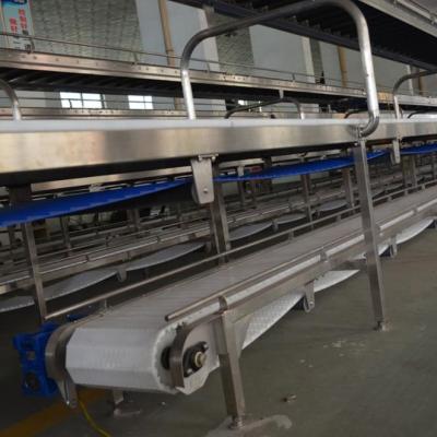 China Customized Automatic Slaughter Line Slaughterhouse Livestock Slaughtering Line Equipment for sale