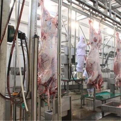 China Customized Slaughter Line Supply Cattle Frightening Reverse Killing Halal Rotating Box Crate Slaughtering Equipment for sale