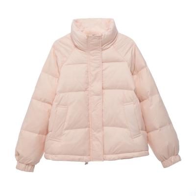 China Ccustom Waterproof Women Winter Padded Coats Crop Plain Down Stripper Jackets for sale