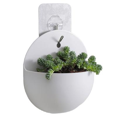 China Green Radish Plastic Flower Wall Hanging Vase Wall Hanging Pastoral Hydroponic Hanging Basin Basin for sale