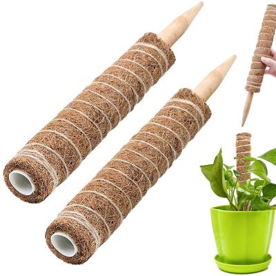 China Supplies Golden Scindapsus Bonsai Plant Post Flower Bracket Flower Bracket Coconut Tree Pastoral Gardening Climbing Stick for sale