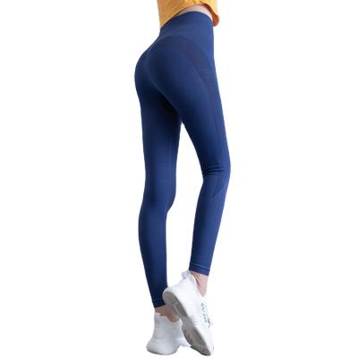 China Autumn New Style Antibacterial Striped Quick-drying High Fitness Stretch Yoga Pants Women Waist Sports Running Tights for sale