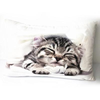 China New Logo Removable And Washable Woven Custom Listing Viable 100%Polyester Cat Cushion Cover for sale