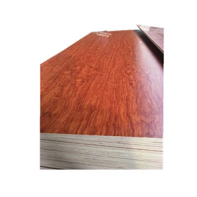 China modern cheap18mm 1200mmx2400mm poplar birch plywood sheet made in china for sale