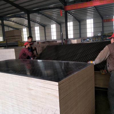 China Industrial Black 18mm Film Faced Plywood Construction Plywood for sale