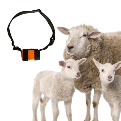 China Animal Display Features 2G 3G 4G Tracer Farm Gps Tag Large Animal Gps Trakcers for sale