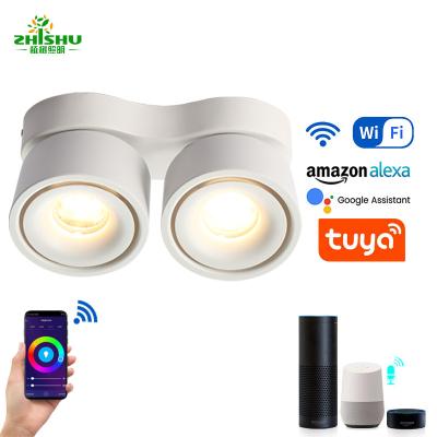 China Smart Downlights WIFI high quality luxury led outdoor mount downlight compatible with Alexa/Google Assistant/TUYA for sale